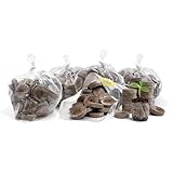 500 EASY TO USE PEAT PELLETS: Contains 500 Jiffy 36mm soil pellets—ideal for germinating a wide range of vegetable, herb, and flower seeds indoors. EXPANDS WITH WATER: Just add water! Each pellet quickly expands to create a soft, nutrient-rich growin...