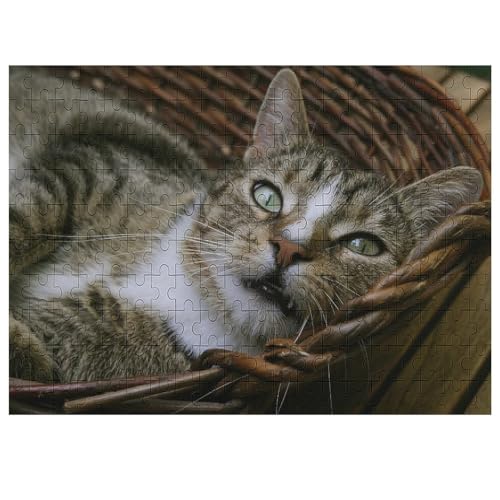 L   pY NG[VAjObY X^CbV l jp D ߋ t@[Xg`CX ؐ  Ǐ葡蕨 av[g 200 PCS