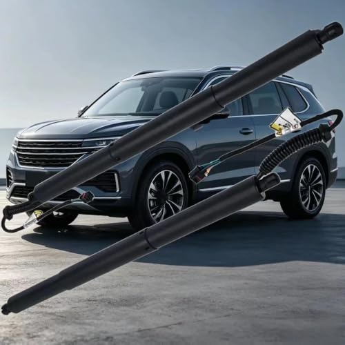 Hayon qui tombe ? Vérin électrique Zotye T500 2018 solution 6309074002A12 - 3