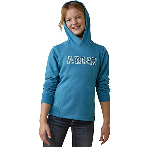Image of ARIAT boys Mexico Hoodie