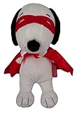 Peanuts 9 Snoopy Masked Valentine Valentines Day Plush