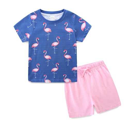 Bibimom Kids Clothing Boys Cotton Fashion Flamingo T-Shirt Shorts Sets 4-5T Birthday