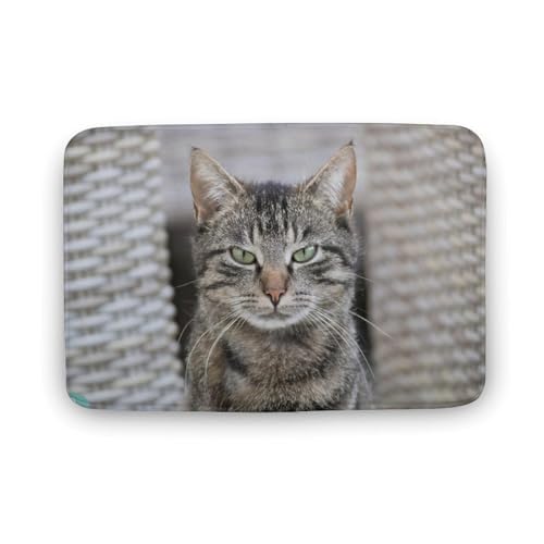 L   oX}bg \tg􂦂 z  փ}bg  O    ~ Aj LN^[ @}bg   ʏ