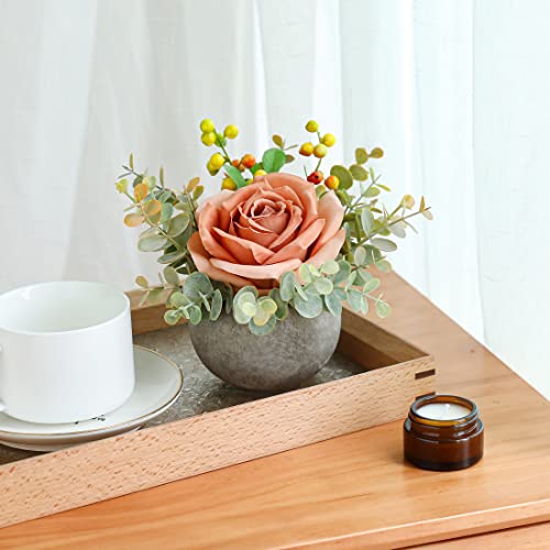 Rosscer Artificial Flowers Kit With Pot, Combination Of Fake Silk Orange Roses And Greenery,Small Plant Potted Decor For Offices,Bookshelf,Bedroom, Living Room,Party,Wedding Decorations #TOP6