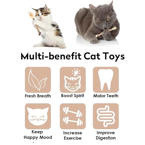 YHT 6Pcs Natural Chewing Silvervine Chew Sticks for Cat Indoor Teeth Cleaning Stress Release Toy for Kitten Teething - Image 6
