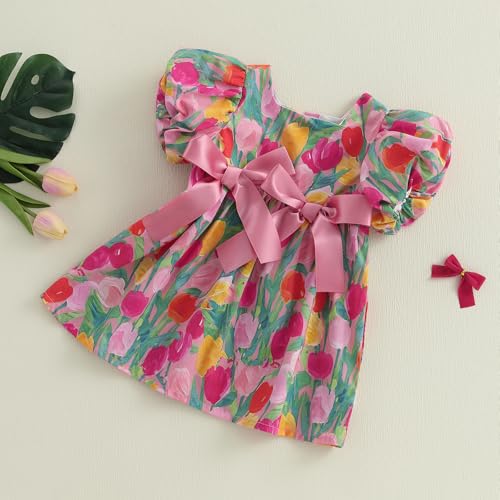 Toddler Infant Baby Girl Summer Outfit Floral Tulip Dress Bow Puff Sleeve Princess Dress Sundress Smocked Clothes3