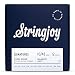 Stringjoy BAL1024 12 String Signature Nickel Electric Guitar Strings, (Balanced Light Gauge - 10-48)