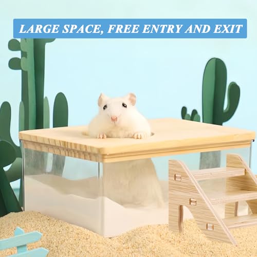 Haustier Hamster Badezimmer, Hamster Sandbad mit Leiter und Schaufel, Hamster-Sandbad-Container Hamster Zubehör Transparent Acryl Dusch für Goldhamster Zwerghamster Mäuse oder Kleine Haustiere