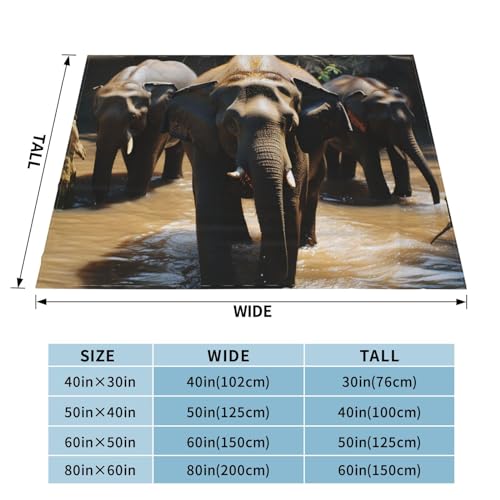 Couverture polaire en flanelle 203x152 cm jeté de lit motif éléphant