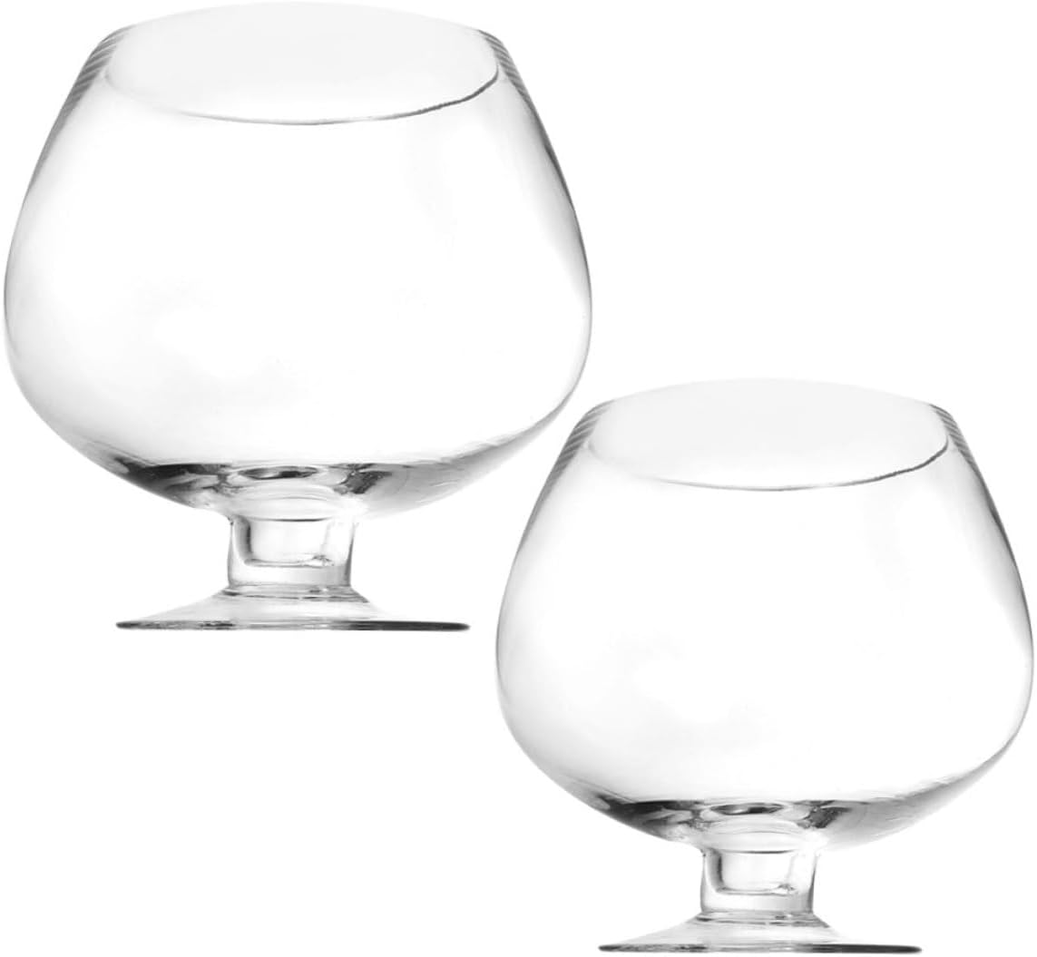 2pcs Transparent Tank Multi-Function Betta Aquarium for Home Office Decor Unique Design for Weddings Gardens and Desktop Aesthetics