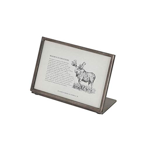 �_���g��(Dulton) �ʐ^���� ���^�� �t���[�� ����105×��155×���s65mm METAL FRAME K955-1263-10