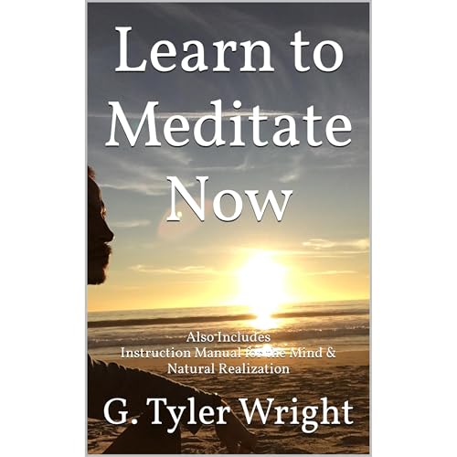 Learn to Meditate Now Audiolibro Por G. Tyler Wright arte de portada