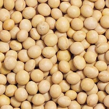 大豆 Amazon.co.jp: 富澤商店(TOMIZ) 令和6年産 北海道産大豆 900g