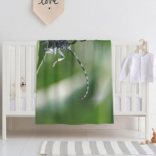  2 uPbg ѕz Q 􂦂 G| Ԃ _炩G v[g y gfree Size 125cm×150cm