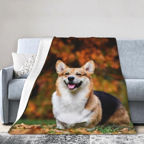 uPbg R[M[  H [΍ tl ӂӂ _炩G y \ ÓdCh~ lGKp