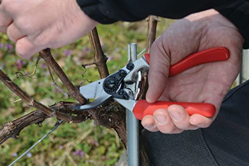 Felco Obstbau Und Gartenschere Nr 7 - 2