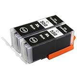 Couleur: Noir (PGI) 2 Go Inks Cartouches d\'encre Noire pour remplacer PGI-550Bk Compatible/non-OEM pour PIXMA Imprimantes