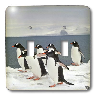 Gentoo Pingouin double interrupteur à bascule 3dRose lsp_10512_2 mural décoratif - 3