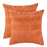 LUOYEHK Dekorative Kissenbezüge für Couch, Sofa, Bett, Bauernhaus, Plüsch, Kunstfell...