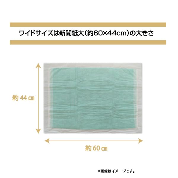 Amazon.co.jp: クリーンワン ダブルストップ 消臭炭シート ワイド 40枚