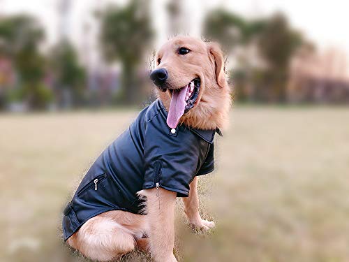Lovelonglong Cool Dog Leather Jacket, Warm Coats Dogs Windproof Cold Weather Coats For Large Medium Small Dogs, Miniature Poodle Clothing Black L thumb #8
