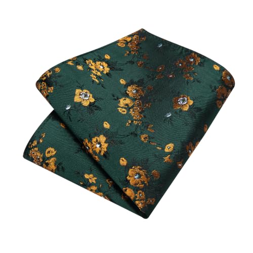 Image of DiBanGu Silk Floral Ties for Men Woven Paisley Necktie