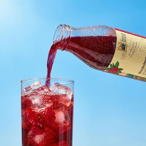 Image of MY PAHADI DUKAN (MPD) 600ml Buransh Sanjivani Flower Juice (Rhododendron Squash) | Natural Himalayan Drink | Rich in Antioxidants & Vitamin C | Supports Heart, Digestion & Immunity | No Artificial Colors or Flavors