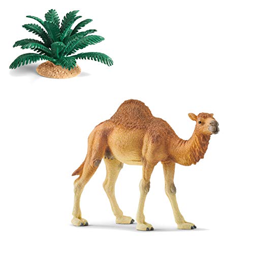 Preisvergleich Produktbild Wildlife Schleich 14832 Dromedar + 42244 Farn