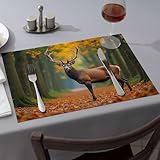 Con un'estetica naturale unificante per matrimoni e vacanzeWestern Tablecloth