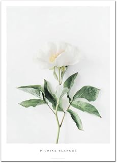 Plante Verte Peinture Fleur Pivoine Affiche Mur Art Toile Photo Nordique Eucalyptus Affiches pour Salon Chambre Décor à La Maison (20 * 30cm sans Cadre,4)