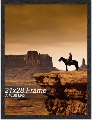 A PLUS MAX 21x28 Picture Frame Black Light Weight Wall Mount