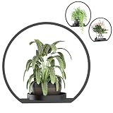 DEMEGA Wall Planters for Indoor Plants, Plant Frames Wall Decor Living Room Plant Stand Hanging Wall Plants Holder to Hold Large Pots Wall Plant Hanger Window Plant Shelves for Outdoor Entryway