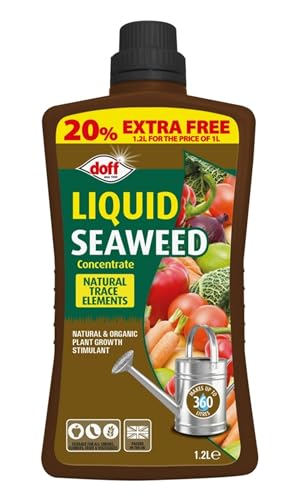 Doff Liquid Seaweed Plant Feed Concentrate - All Purpose Plant Food Fertiliser 1.2L Makes 360L - Natural Plant Growth Stimulant - Organic Plant Food.
