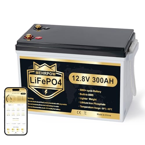 12V 300Ah LiFePO4 Lithium Batterie mit Bluetooth 200A BMS bis zu 15000 Zyklen max. 3840Wh Low Temp Cut Off Deep Cycle Mini Design für Wohnmobil Solar Trolling Motor