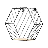 Schwimmregale - Sechskant Wandmontageständer | Geometrischer Organizer für Pflanzen, Shampoo, Bücher, Fotos oder Sammlerstücke im Bad, Wohnzimmer oder e