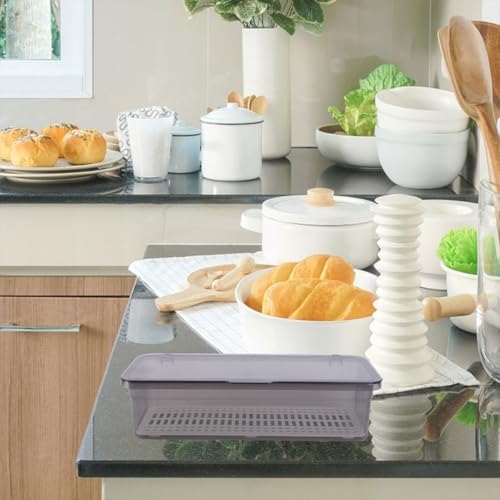 NOLITOY Caja para Escurrir Cubiertos de Plástico PP Diseño Moderno y Función de Drenaje, Paquete de 2 Unidades para Almacenamiento Versátil en Cocina Reutilizable