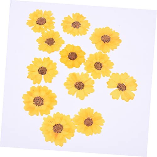 HAPINARY 24 Unidades relevo faça você mesmo materiais para unhas flor faça você mesmo marcadores de