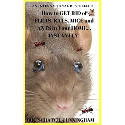 HOW TO GET RID OF FLEAS, MICE, RATS and ANTS IN YOUR HOME - INSTANTLY!