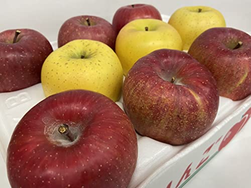  ܂Zbg Tӂ VimS[h 3kg 쌧Y Mtg p ƒp