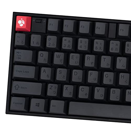 mintcaps PBT Gray Japanese Keycaps Cherry Profile Retro Dye-Sub Keycaps Set 130 Keys Custom Keyboard Key caps for 60% 65% 70% 75% Cherry Gateron MX Switches Mechanical Keyboards