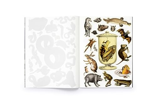 Cut Up This Book and Create Your Own Underworld: 1,000 Unexpected Images for Collage Artists - Image 5