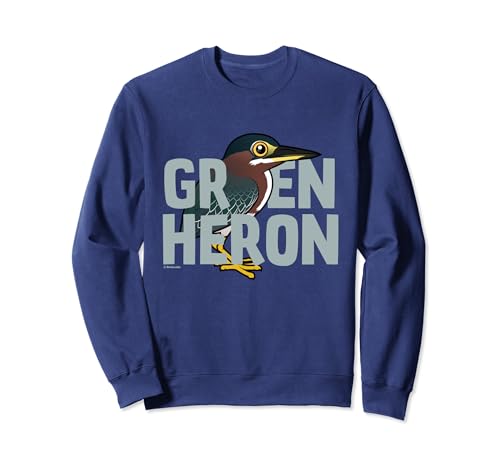 Cute Cartoon Jumbo Green Heron Bird Species Name Sweatshirt