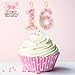 FAMGift Pink Birthday Candles - Number 16 Candle, Colorful Macaron Candles, Sweet 16 Cake Topper 16 Birthday Decorations for Girls, Sweet Theme Party Supplies (Pink)