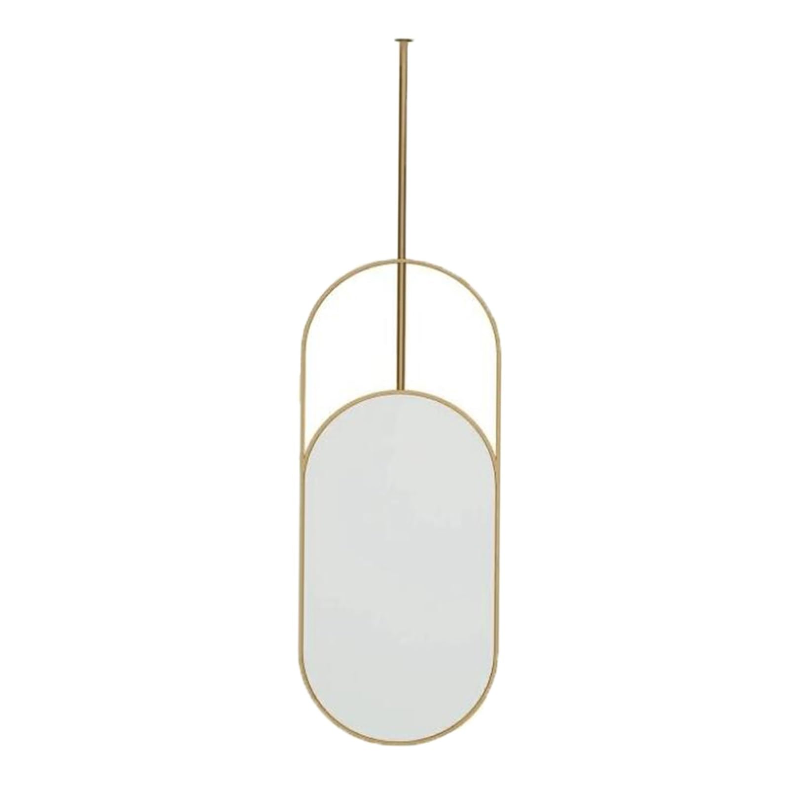 MESOVFCA Wall-Mounted Oval Floating Mirror with Rod, Decorative Glass for Home Or Hotel(Gold,50x100cm)