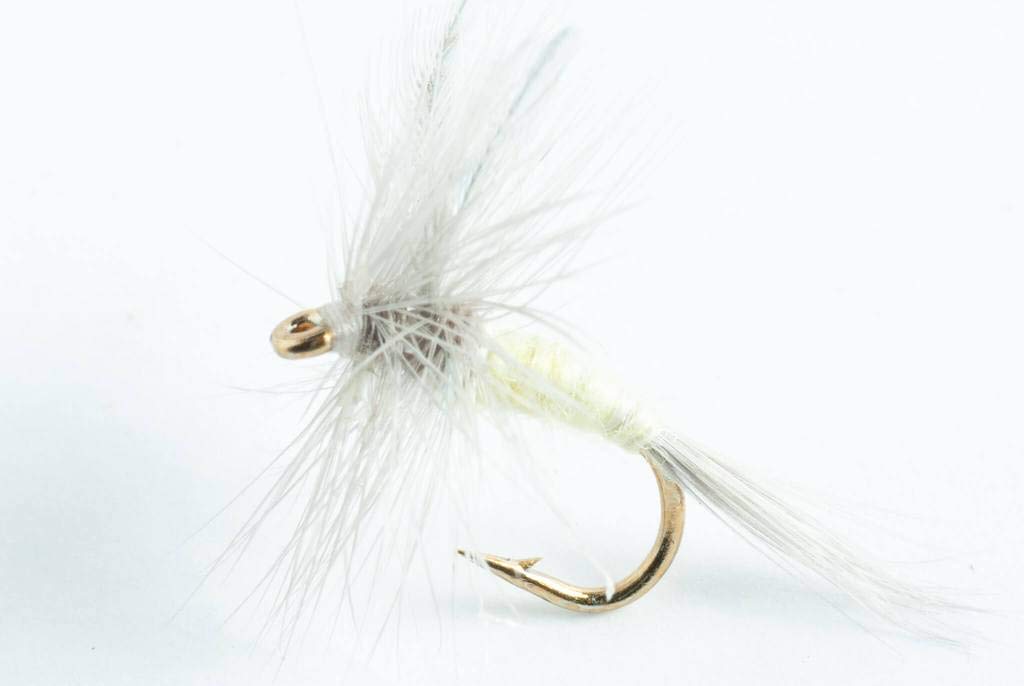 Blue Wing Olive Pale Morning Dun Dry Fly, 6-Pack (#12)