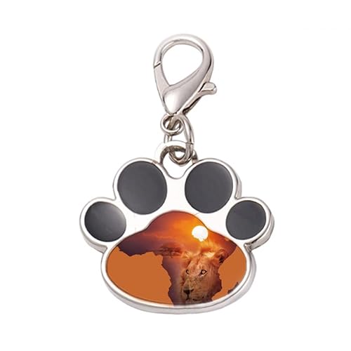 DIYthinker?Lion Prairie African Continent Name Map Pet Tag Keychain Dog Cat ID