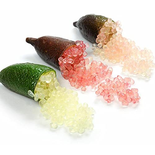 20Pcs Finger Lime Seeds Perennial Low Maintenance Fruit Seeds For Garden Plant #TOP4
