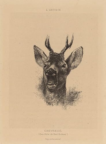 Poster cerf Karl Bodmer tableau toile décoration murale maison