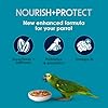 Kaytee Forti-Diet Pro Health+Safflower Nourish+Protect Parrot Food, Supports Breeding and Molting, Nutrition Backed by Science, Digestive and Brain Health, 4 pounds #2