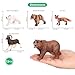 Volnau Safari Animal Figurines Toys 12PCS North America Figures Zoo Pack for Toddlers Kids Christmas Decoration Gift Preschool Educational Bald Eagle Bear Salmon Salamander Jungle Forest Cake Topper